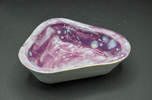 Cosmos Pet Bowl